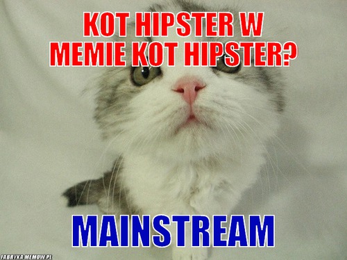 Kot hipster w memie kot hipster? – kot hipster w memie kot hipster? mainstream