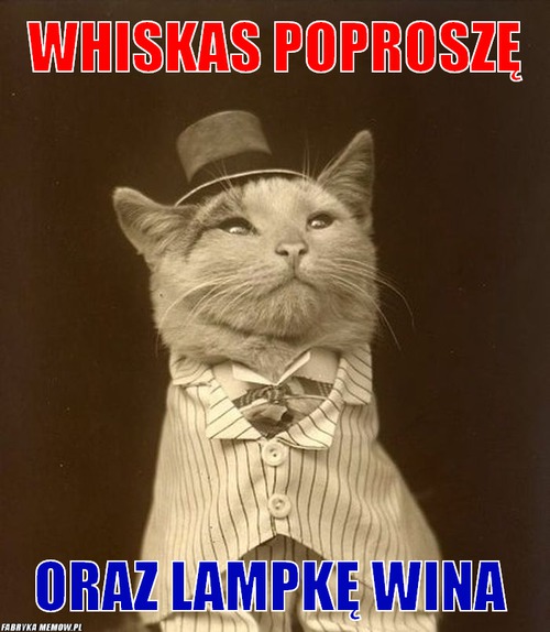 Whiskas poproszę – whiskas poproszę oraz lampkę wina