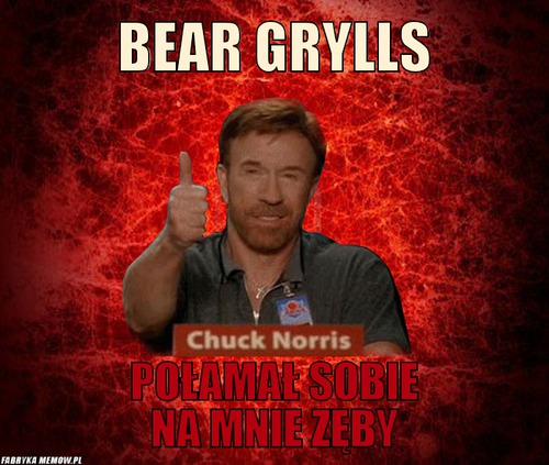 Bear Grylls – Bear Grylls połamał sobie na mnie zęby