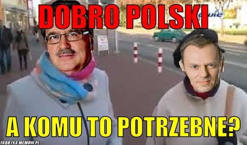 Dobro Polski – Dobro Polski A komu to potrzebne?