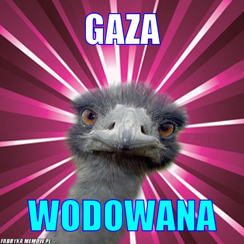 Gaza – gaza wodowana