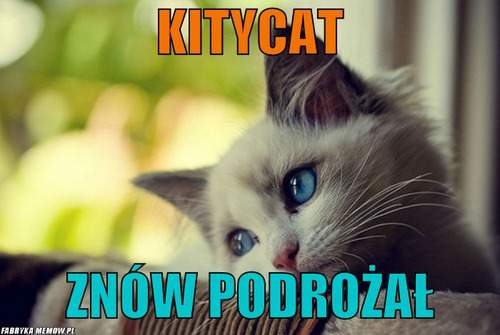 Kitycat – kitycat znów podrożał