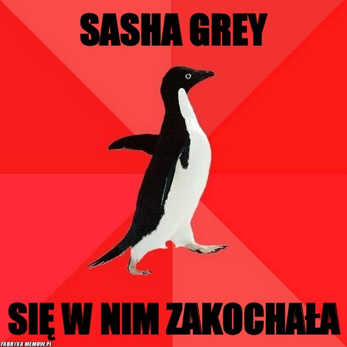 Sasha Grey – Sasha Grey się w nim zakochała