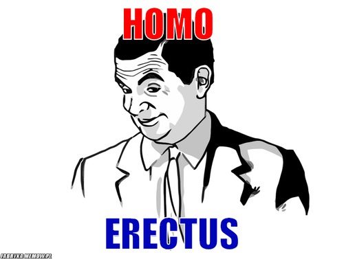 Homo – Homo Erectus