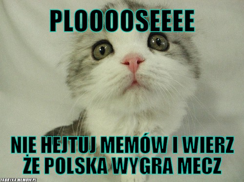 Plooooseeee – plooooseeee nie hejtuj memów i wierz że polska wygra mecz