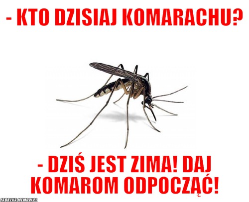 - Kto dzisiaj Komarachu? – - Kto dzisiaj Komarachu? - dziś jest zima! daj komarom odpocząć!