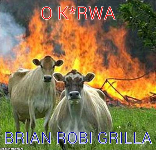 O k*rwa – O k*rwa Brian robi grilla