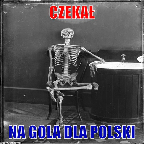 Czekał – czekał na gola dla Polski