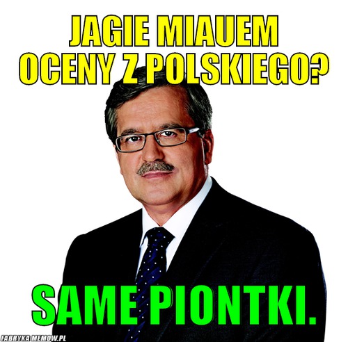 Jagie miauem oceny z polskiego? – jagie miauem oceny z polskiego? same piontki.