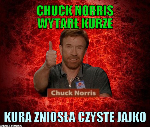 Chuck norris wytarŁ kurze – chuck norris wytarŁ kurze kura zniosŁa czyste jajko