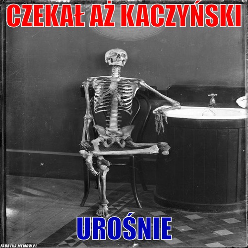 Czekał aż Kaczyński – czekał aż Kaczyński Urośnie