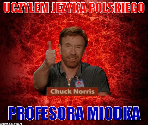 Uczyłem języka polskiego – uczyłem języka polskiego profesora miodka
