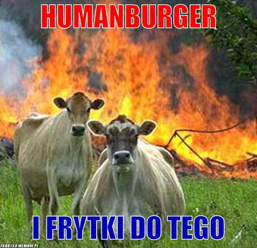 Humanburger – Humanburger i frytki do tego