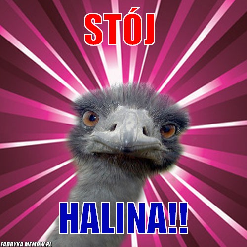 Stój – Stój HALINA!!