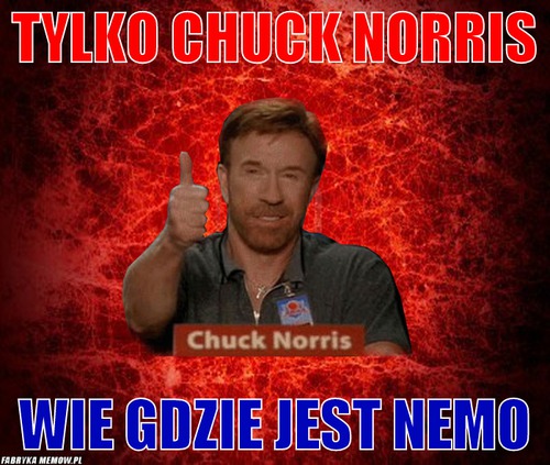 Tylko Chuck Norris – Tylko Chuck Norris Wie gdzie jest Nemo