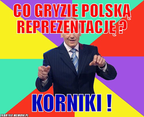 Co gryzie polską reprezentację ? – co gryzie polską reprezentację ? korniki !