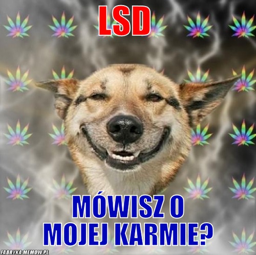 LSD – LSD mówisz o mojej karmie?