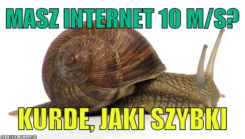 Masz internet 10 m/s? – Masz internet 10 m/s? Kurde, jaki szybki