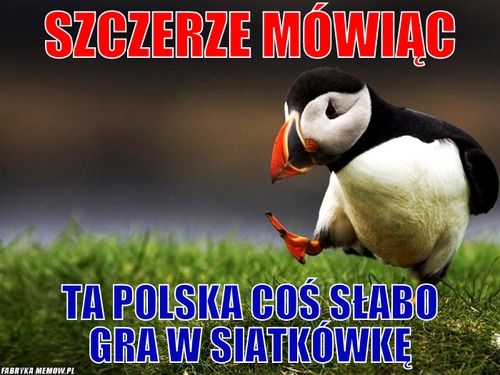 Szczerze mówiąc – szczerze mówiąc ta polska coś słabo gra w siatkówkę