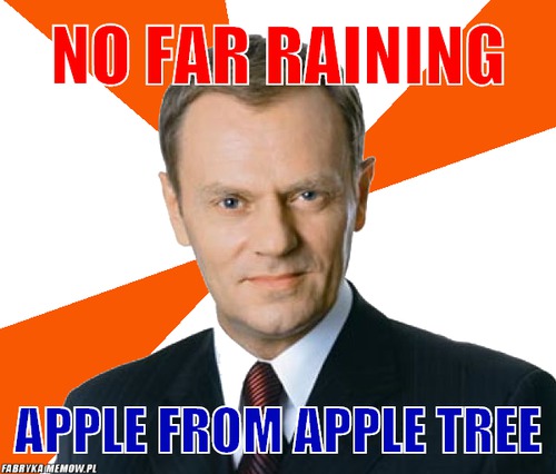 No far raining – no far raining apple from apple tree