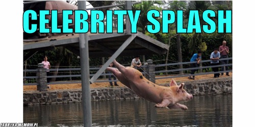 Celebrity splash – celebrity splash 