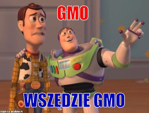 Gmo  – gmo  Wszędzie GMO
