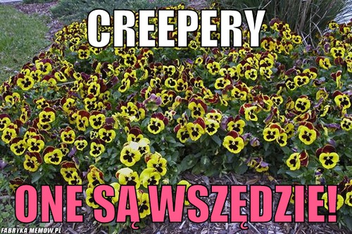 Creepery – creepery one są wszędzie!