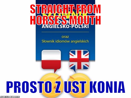 Straight from horse&#039;s mouth – straight from horse&#039;s mouth prosto z ust konia
