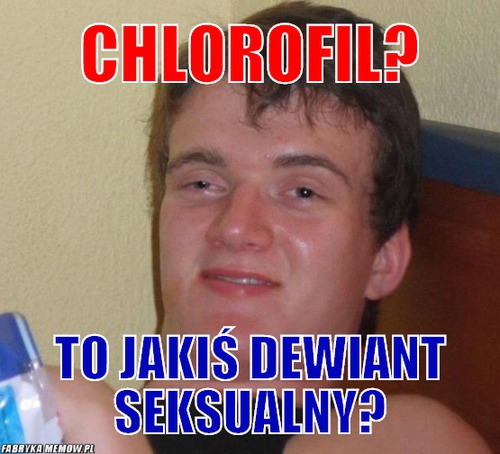 Chlorofil? – chlorofil? to jakiś dewiant seksualny?