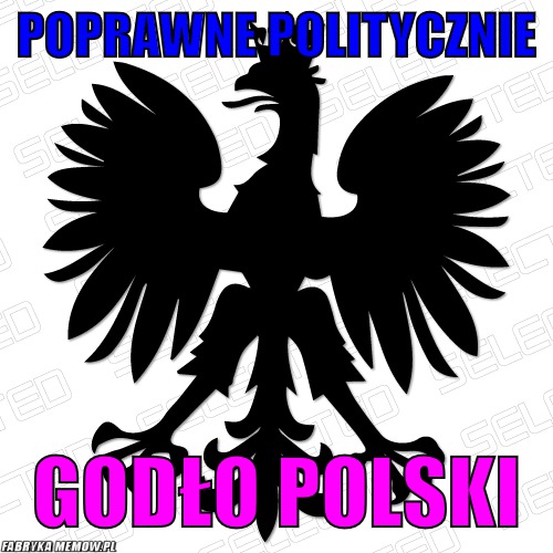Poprawne politycznie                           – poprawne politycznie                           godło polski