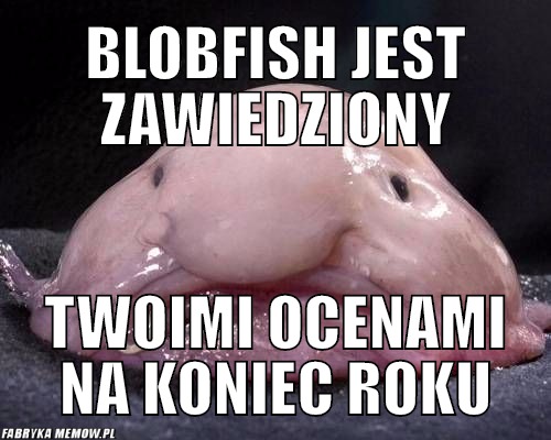 Blobfish jest zawiedziony – Blobfish jest zawiedziony Twoimi ocenami na koniec roku