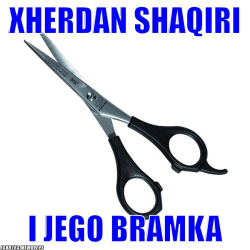 Xherdan Shaqiri – Xherdan Shaqiri i jego bramka