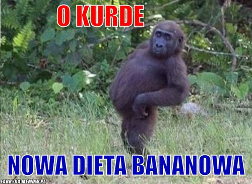 O kurde                                           – o kurde                                                                                              nowa dieta bananowa