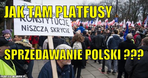 Jak tam platfusy             – jak tam platfusy             sprzedawanie polski ???                                                          