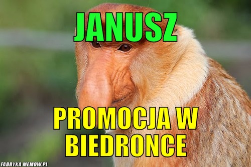 Janusz – Janusz Promocja w biedronce