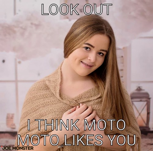 Look out – Look out I think Moto Moto likes you